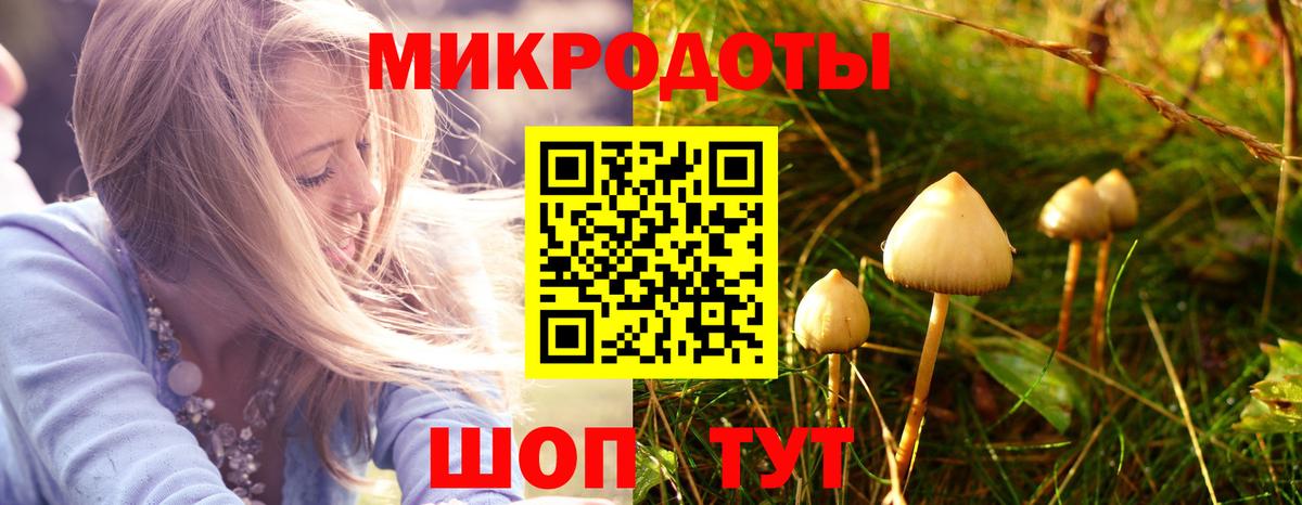 Калуга  Галлюциногенные грибы MAGIC MUSHROOMS  Псилоцибиновые грибы мицелий  Вход с VPN 