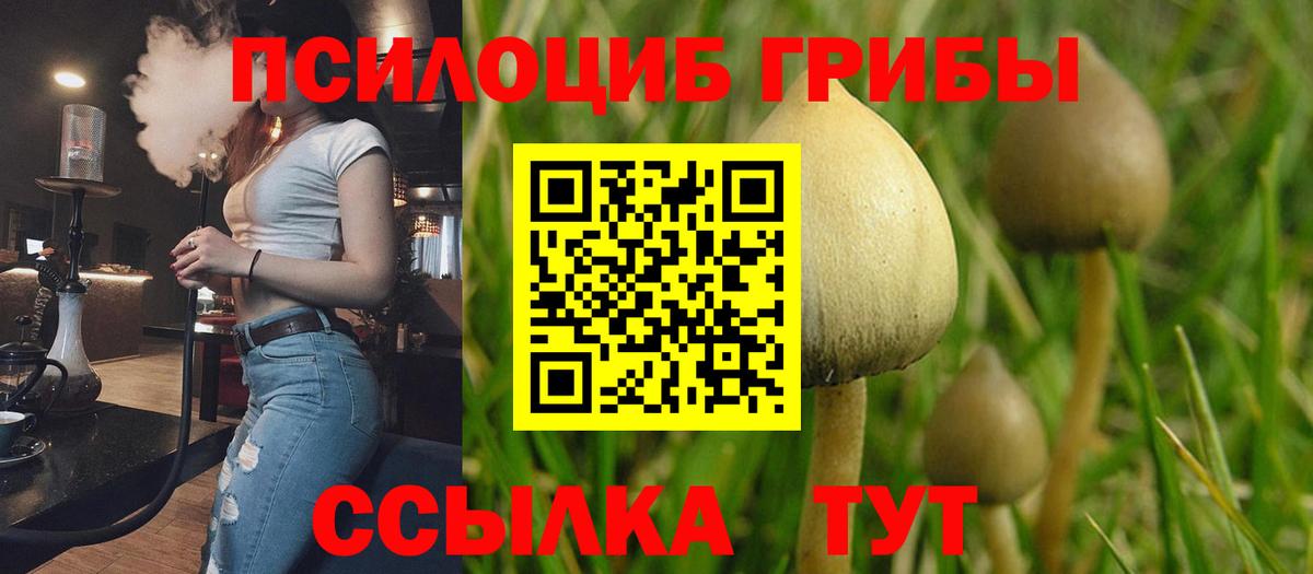 Псилоцибиновые грибы Psilocybine cubensis Калуга